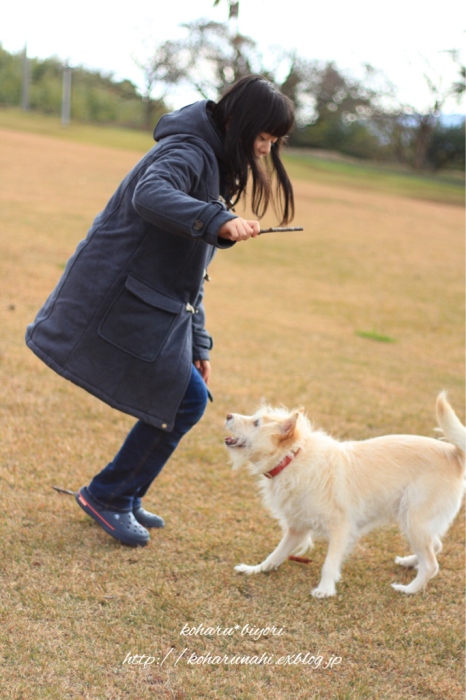 今年もありがとう_f0299486_02031015.jpg