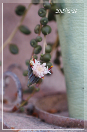 b0223592_02422.png