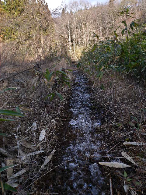 a0199297_16433793.jpg
