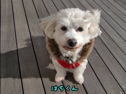 a0338800_18341540.jpg
