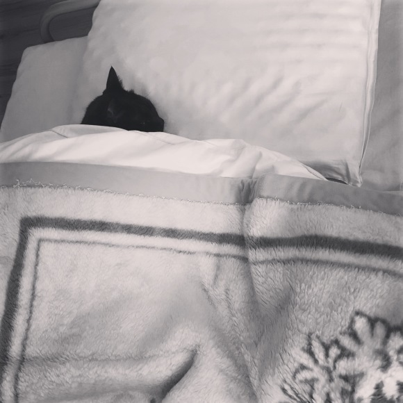 c0011300_20112560.jpeg