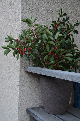 c0124100_18312342.jpg