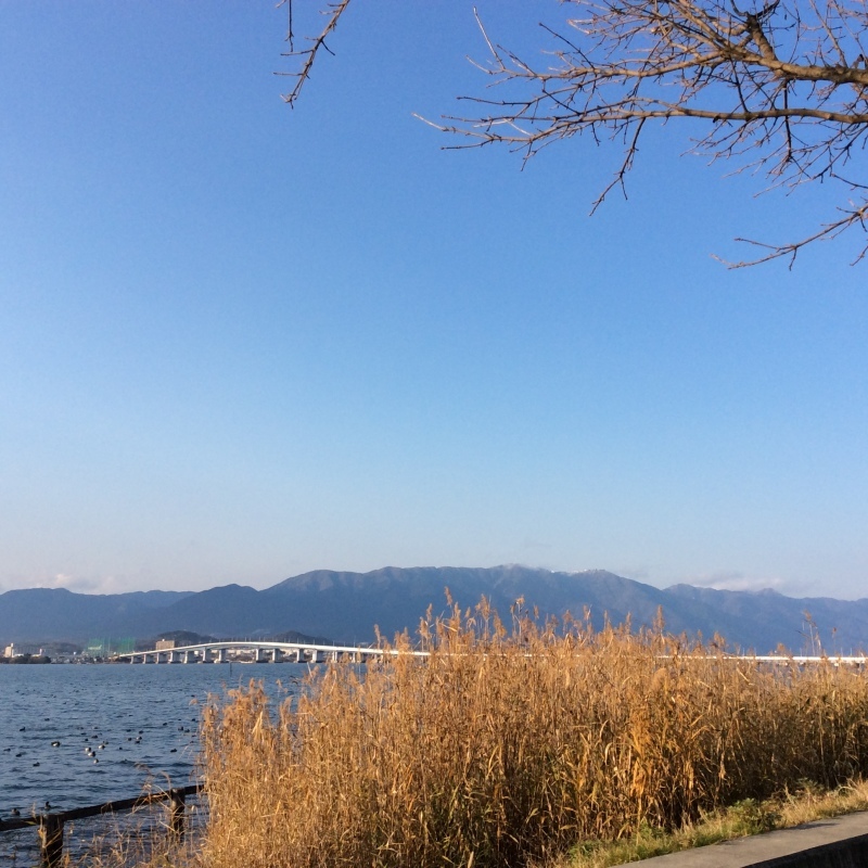 b0220002_17075795.jpeg