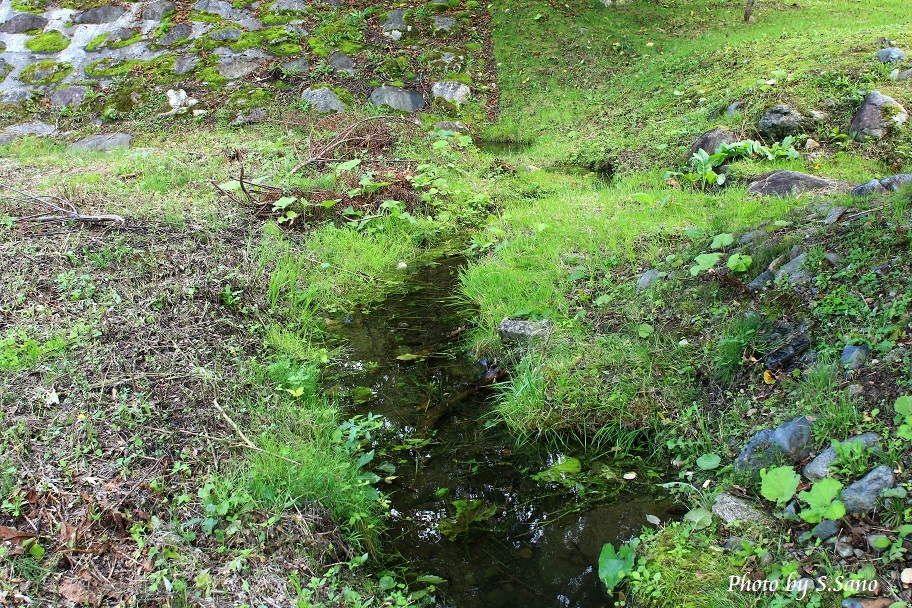 b0348205_22311046.jpg