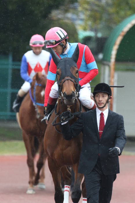 2015　名古屋グランプリ_a0342506_18560836.jpg