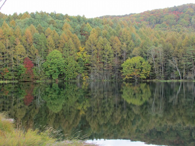 e0321325_143340.jpg