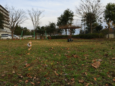 f0326925_20233262.gif
