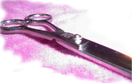 c0109726_074388.gif
