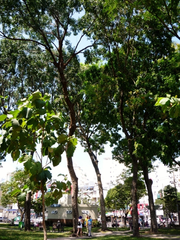a0230831_00472109.jpg