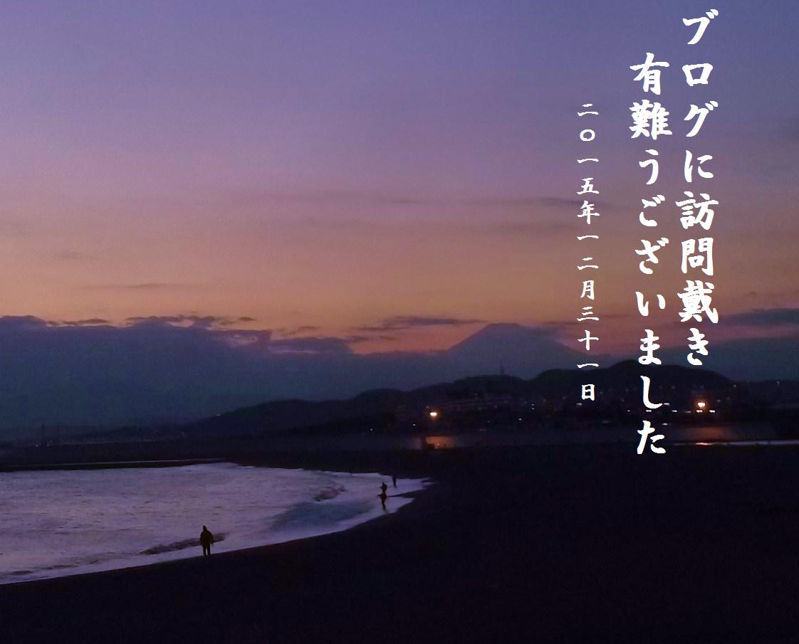 良い年をお迎えください。_b0137932_12451837.jpg