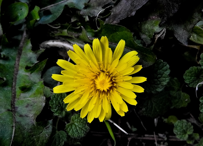 b0242140_2237749.jpg
