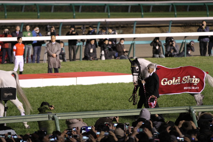 2015 有馬記念 GOLD ACTOR_f0324540_01234275.jpg