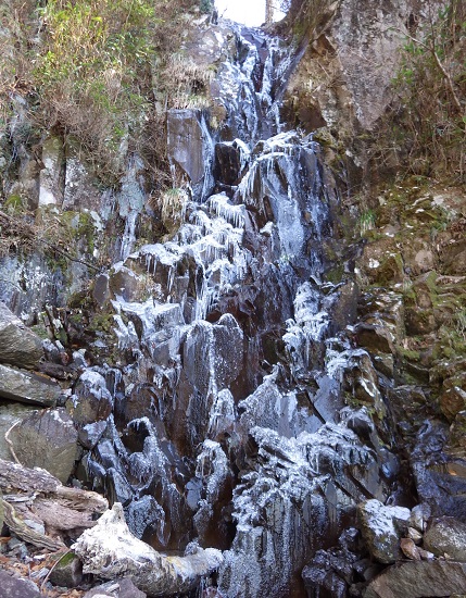 e0164643_1352290.jpg