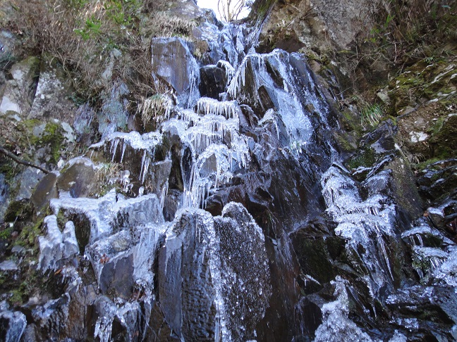 e0164643_1353321.jpg