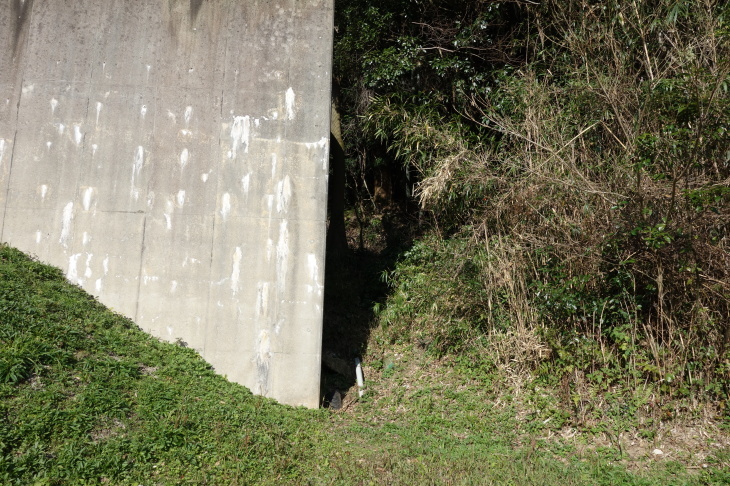 高雄山(太宰府市)_d0345153_01344461.jpg
