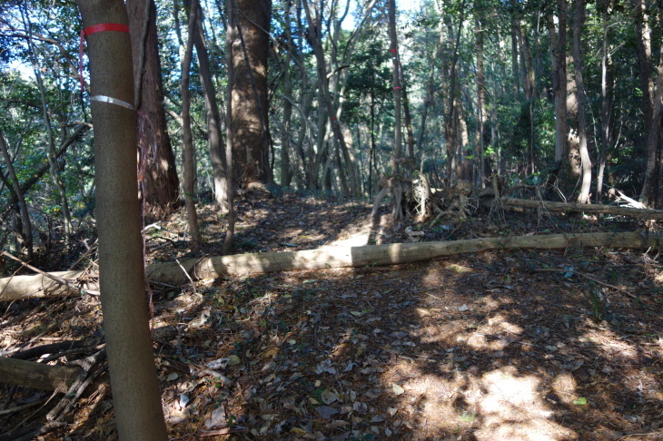 高雄山(太宰府市)_d0345153_01355234.jpg