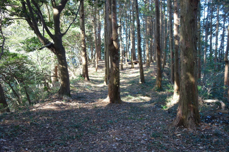 高雄山(太宰府市)_d0345153_01363625.jpg