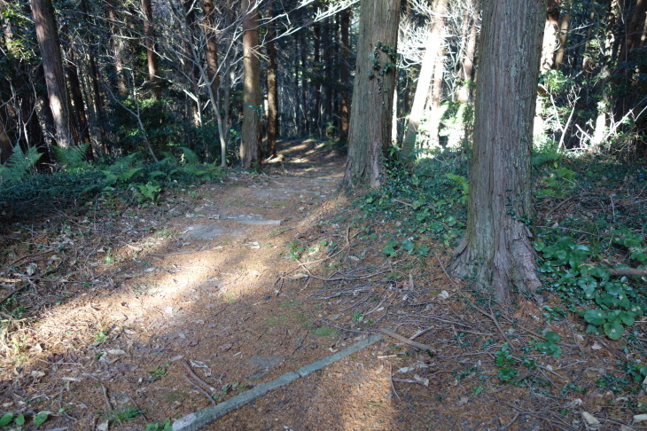 高雄山(太宰府市)_d0345153_01384521.jpg