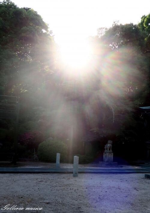 稲荷神社のざっくりし過ぎまとめと年末ジャンボ宝くじ。_f0351853_05265537.jpg