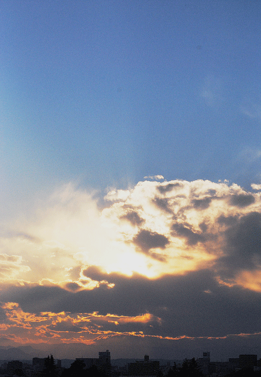 12月31日 大晦_a0001354_1836841.gif