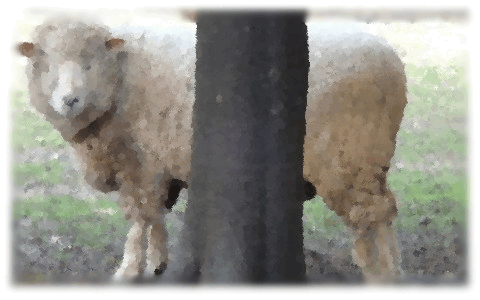 f0101759_771142.gif
