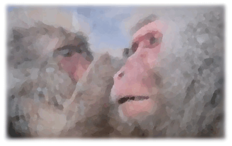 f0101759_771529.gif