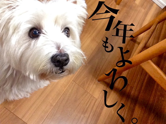 さる年です_c0260460_15364016.jpeg