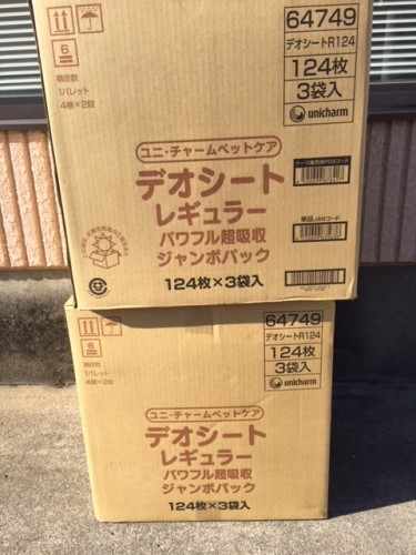 いただきました_b0194462_19432074.jpg
