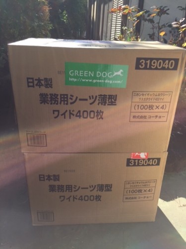 いただきました_b0194462_19434653.jpg