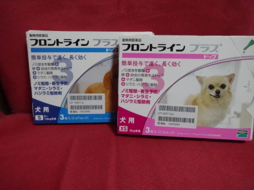 いただきました_b0194462_2055710.jpg