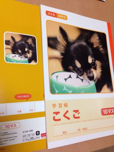 いただきました_b0194462_2091692.jpg