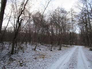 d0045362_1036254.jpg