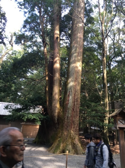 c0120363_21145788.jpeg