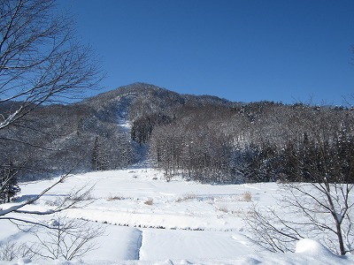 つる と かめ 森のかすみ草