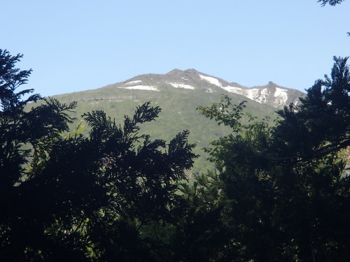 a0344771_16500461.jpg