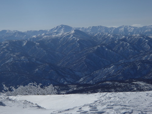 a0344771_21282527.jpg