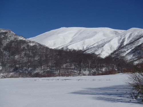 a0344771_21290524.jpg