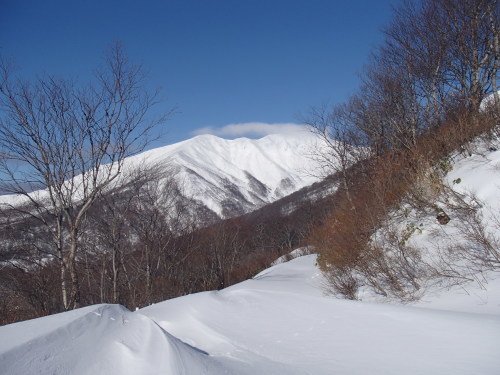 a0344771_21302503.jpg