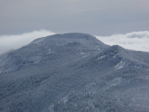 a0344771_21440967.jpg