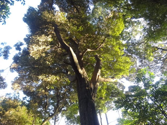c0334773_18123623.jpg