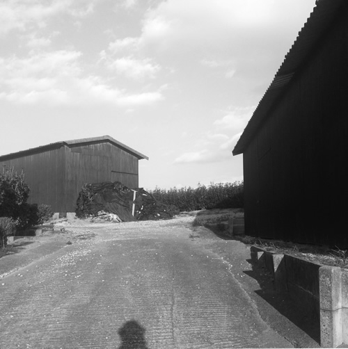 散歩と小屋_b0207676_236979.jpg