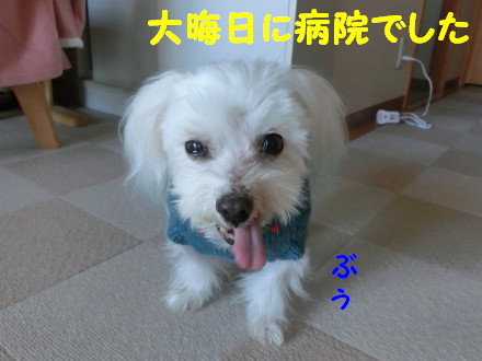 b0193480_14175962.jpg