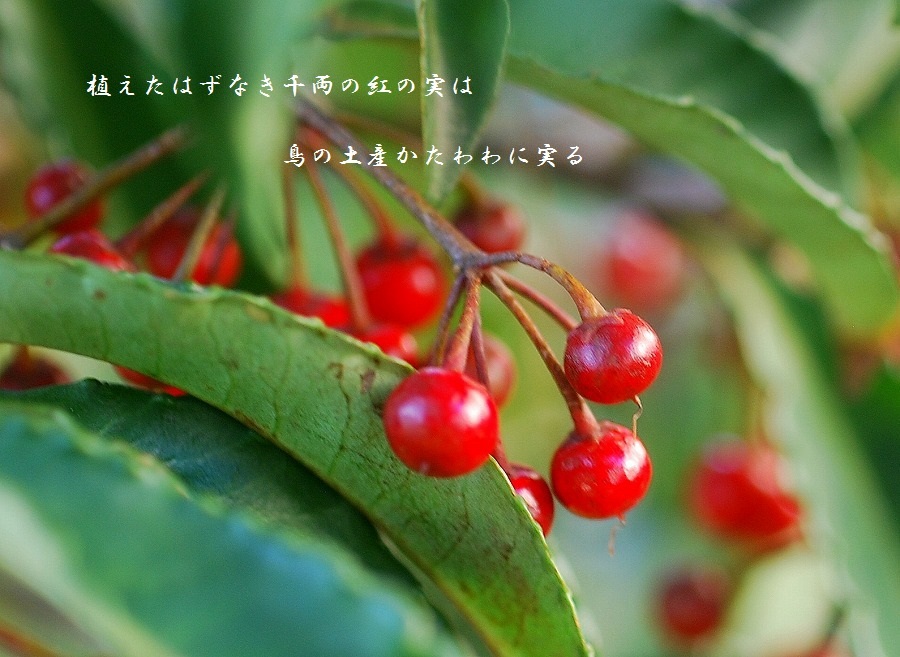 c0187781_01580155.jpg