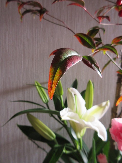 b0182884_217572.jpg