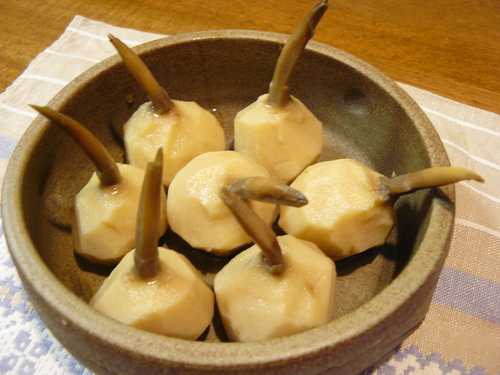 d0300787_17194230.jpg