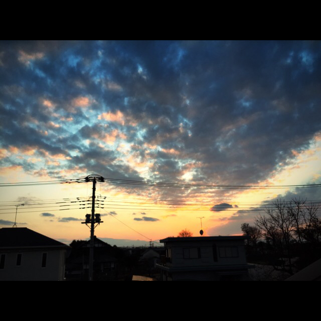 b0168491_16494989.jpg