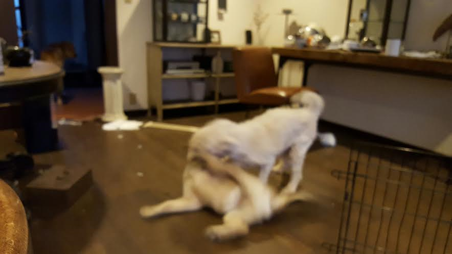 d0350191_12071076.png