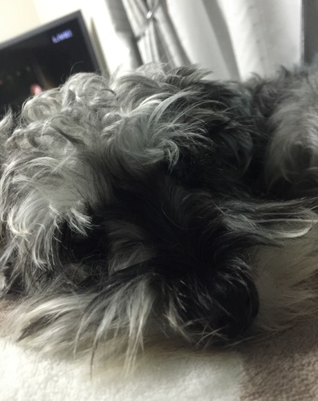 b0188998_20222281.jpeg