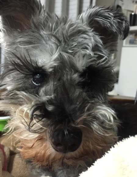 b0188998_20223440.jpeg