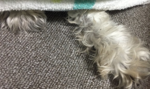 b0188998_20224649.jpeg